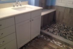 Noblesville Remodeling Bathroom IN